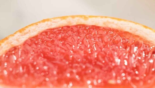 perisa grapefruit; grapefruit flavor
