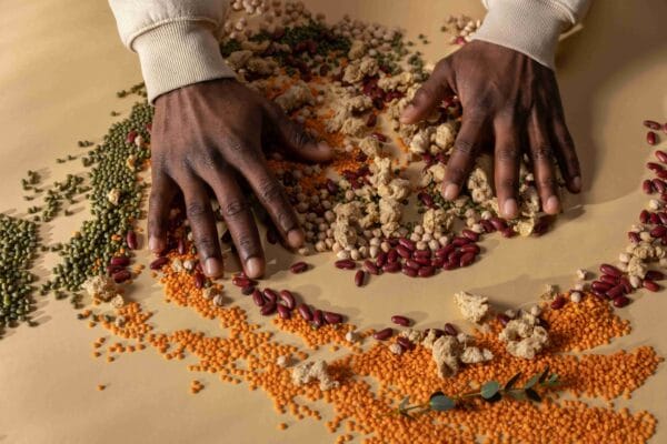 Flavor Revolution: 2026 Global Plant-Based Consumer Trends; Revolusi Rasa: Membedah Tren Konsumen Nabati Global 2026